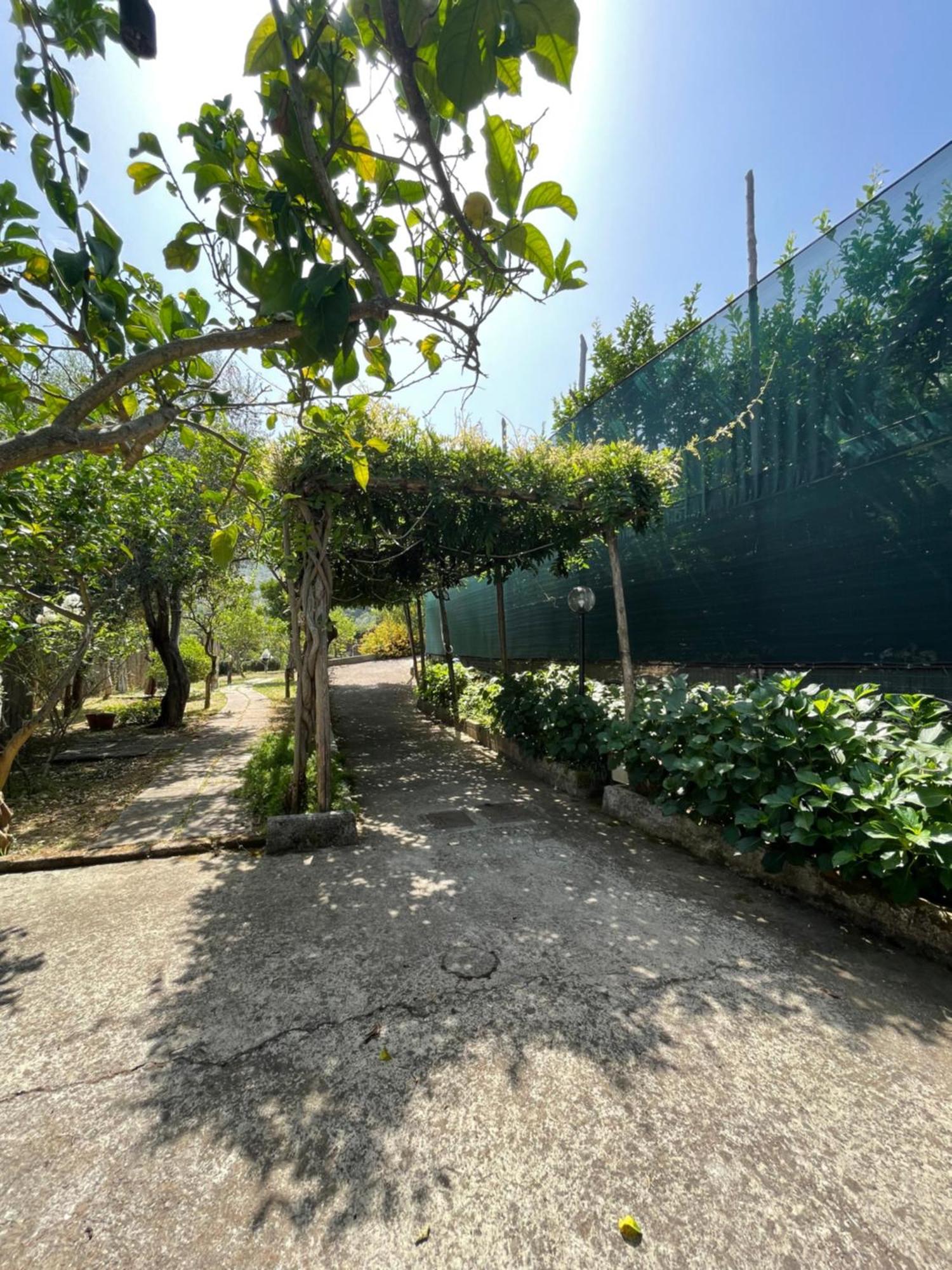Villa Rosmary Massa Lubrense Exterior photo